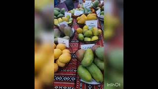 Mango Varieties|Mango Exhibition in UAE