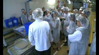 GODIVA Chocolate Factory Visit 参观歌帝梵巧克力工厂