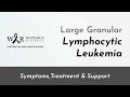 LARGE GRANULAR LYMPHOCYTIC LEUKEMIA - Without a Ribbon