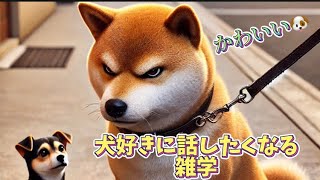 犬好きに話したくなる雑学　#犬#わんちゃん#dog#ペット#雑学#bgm#ai