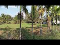 2 acre 7 gunte farmhouse land sale in Mysore T Narasipura