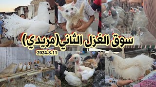 سوق مريدي في بغداد انواع الطيور والحيوانات مع ارخص الأسعار 2024/8/11| سوق الغزل ال 2