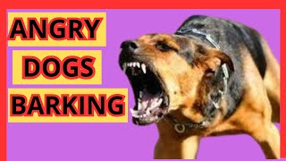 ANGRY Dogs Barking Sound Effects Aggressive Dogs Barking Compilation