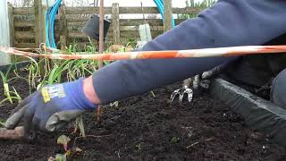 Michael`s plot and home garden   Monday 24th February 2025