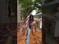 外国人の女の子 鹿に餌をあげた nara deer nara park