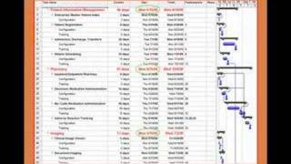 EHR Implementation Using Project Management