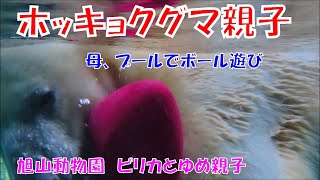 母、プールでボール遊び（旭山動物園　ホッキョクグマのピリカとゆめ親子）