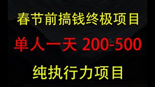 春节前搞钱终极项目，AI代写，纯执行力项目，无需引流、时间灵活、多劳多得，单人一天200 500