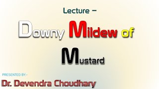 #diseases of #mustard | Downy mildew | सरसों में बीमारी