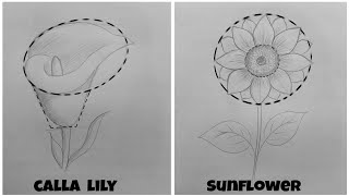 Flower Drawing Easy Tutorial......................@MrArtistMonojit