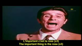 Gilbert Becaud  - l'important c'est la rose - paroles français - english lyrics