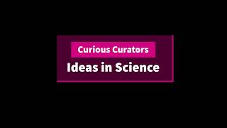 Curious Curators Ep.2