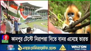 অদ্ভুত কান্ড! কানপুর টেস্টে নিরাপত্তাকর্মীর কাজ করবে বানর