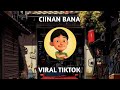 DJ CIINAN BANA REMIX VIRAL TIKTOK 2024