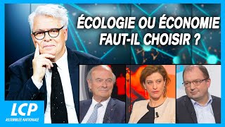 Écologie ou économie : faut-il choisir ? | Ces idées qui gouvernent le monde