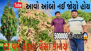 આવો આંબો નઈ જોયો હોય | દર વર્ષે  કેટલા પૈસા કમાય ૫૦૦૦૦૦ થી વધારે કમાય