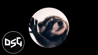 PEDRO PEDRO PEDRO (DUBSTEP REMIX) - Dancing Raccoon Song