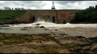 Markonahalli Dam ಮಾರ್ಕೊನಹಳ್ಳಿ ಅಣೆಕಟ್ಟು  #dam #ಅಣೆಕಟ್ಟು  #MarkonahalliDam #shorts #ಮಾರ್ಕೊನಹಳ್ಳಿ