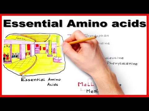 Essential Amino Acids - Easiest way to remember/ mnemonic series #7 Essential Amino Acids - Easiest way to remember/ mnemonic series #7