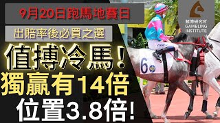 【賽馬貼士】9月20日 值搏冷馬！｜獨贏有14倍 位置都有3.8倍！值得一搏！