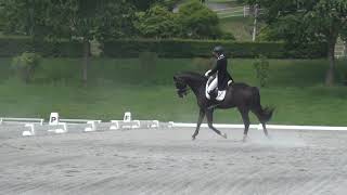 第54回関東学生賞典馬場馬術競技大会　4年　古野　博人　桜陽