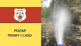 Pożar trawy i lasu - WYJAZD OSP ROSKO