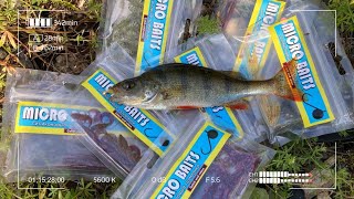 Силиконовые приманки Micro Baits. Первый опыт использования.