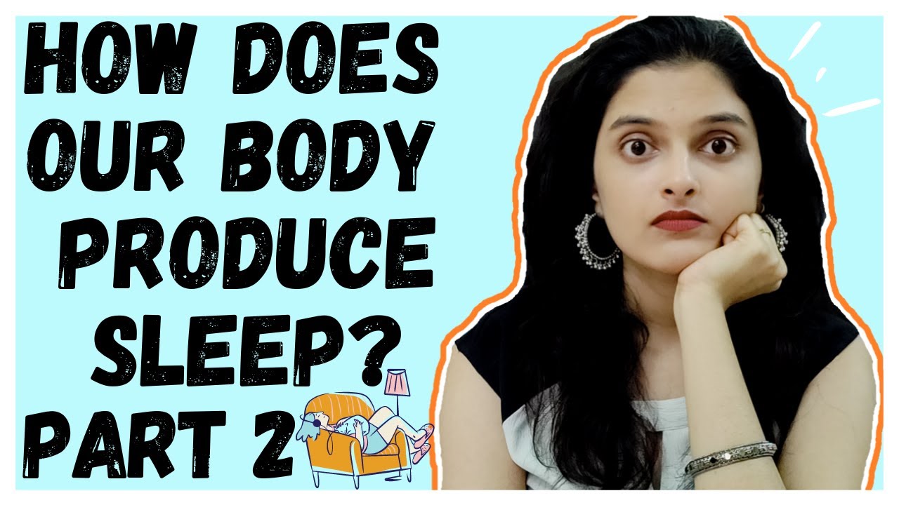 HOW DOES OUR BODY PRODUCE SLEEP: PART TWO | How Do We Fall Asleep ...