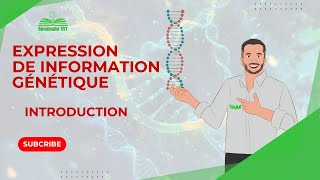 Expression de l'information génétique : INTRODUCTION ( 2Bac SVT \u0026 PC )