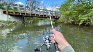 TROUT Fishing with Inline Spinners (Rainbow & Brown)