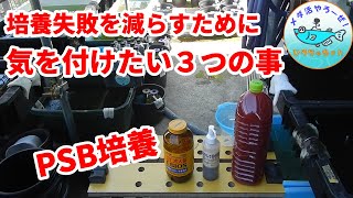 PSB培養、失敗を減らすために気を付けたい3つの事