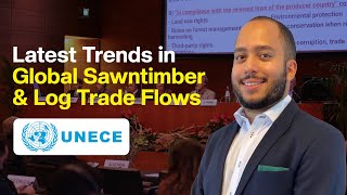 Latest Trends in Global Sawntimber \u0026 Log Trade-flows for UNECE/FAO