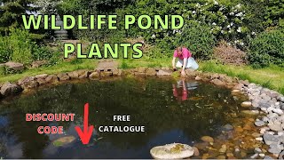 WILDLIFE POND. Plants, Marginals, Oxygenators