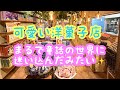 童話の世界のお菓子屋さんに行ってみたら可愛いすぎて物欲崩壊寸前だった😅