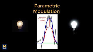 Parametric Modulation in fMRI: Introduction