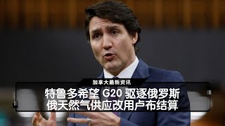 特鲁多希望 G20 驱逐俄罗斯 俄天然气供应改用卢布结算