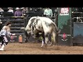 Crazy Wrecks from the PBR World finals - Cody Webster Professional Bullfighter