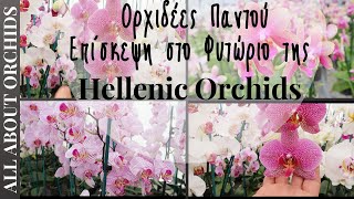 Ορχιδέες Παντού. Επίσκεψη στο Φυτώριο της Hellenic Orchids.