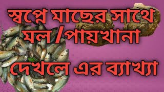 স্বপ্নে প্রাণীর মল / পায়খনা দেখা/Seeing Animal Feces in Dreams