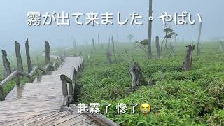 [奈良県大台ヶ原]湿度が高い雨がよく降ります。景色綺麗😍#癒し 撮影2022-7-17