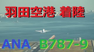 羽田空港へ海上ルートで着陸！！　ANA B787-9 ドリームライナー　HND-RW34L (ATC)