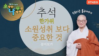 소원성취 보다 중요한 것ㅣ추석 한가위 특집ㅣ광우스님 소나무 몰아보기