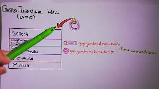 Physiological Anatomy of Gastrointestinal Wall. Chapter 63 (part 1). Guyton and Hall Physiology.