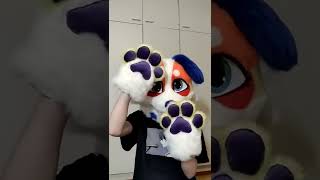 Fursuit Showcase / Commission! #shorts