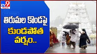 Heavy Rain in Tirumala : తిరుమల కొండపై కుండపోత వర్షం.. - TV9