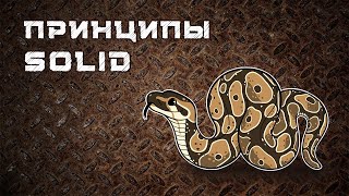 Принципы SOLID | На примере Python