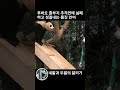 푸바오 할부지 추격전 눈 깜짝할 사이 일어난 일 shorts