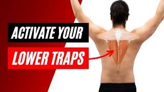 How to activate the lower trapezius muscle - progressive strengthening exercises to engage the traps