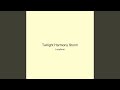 Twilight Harmony Storm