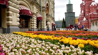 Flower Festival in GUM in Moscow (2016)